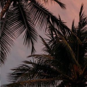 Meet your Posher, Leslie joanne